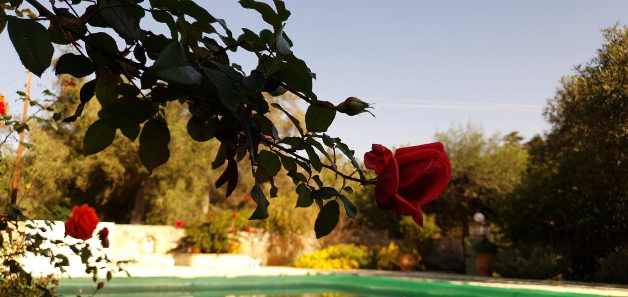 Livadi Studios With Pool Lakka  Luaran gambar