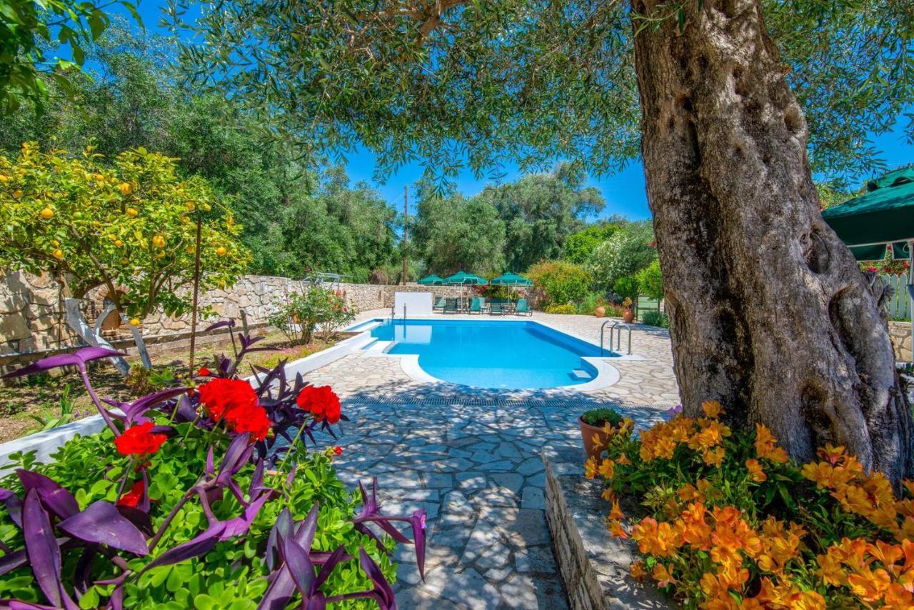 Livadi Studios With Pool Lakka  Luaran gambar
